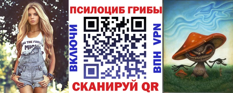 Псилоцибиновые грибы Cubensis  KRAKEN ссылки  Таганрог  где продают  